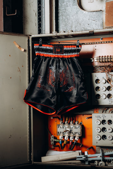 Fantasm Muay Thai boxing shorts