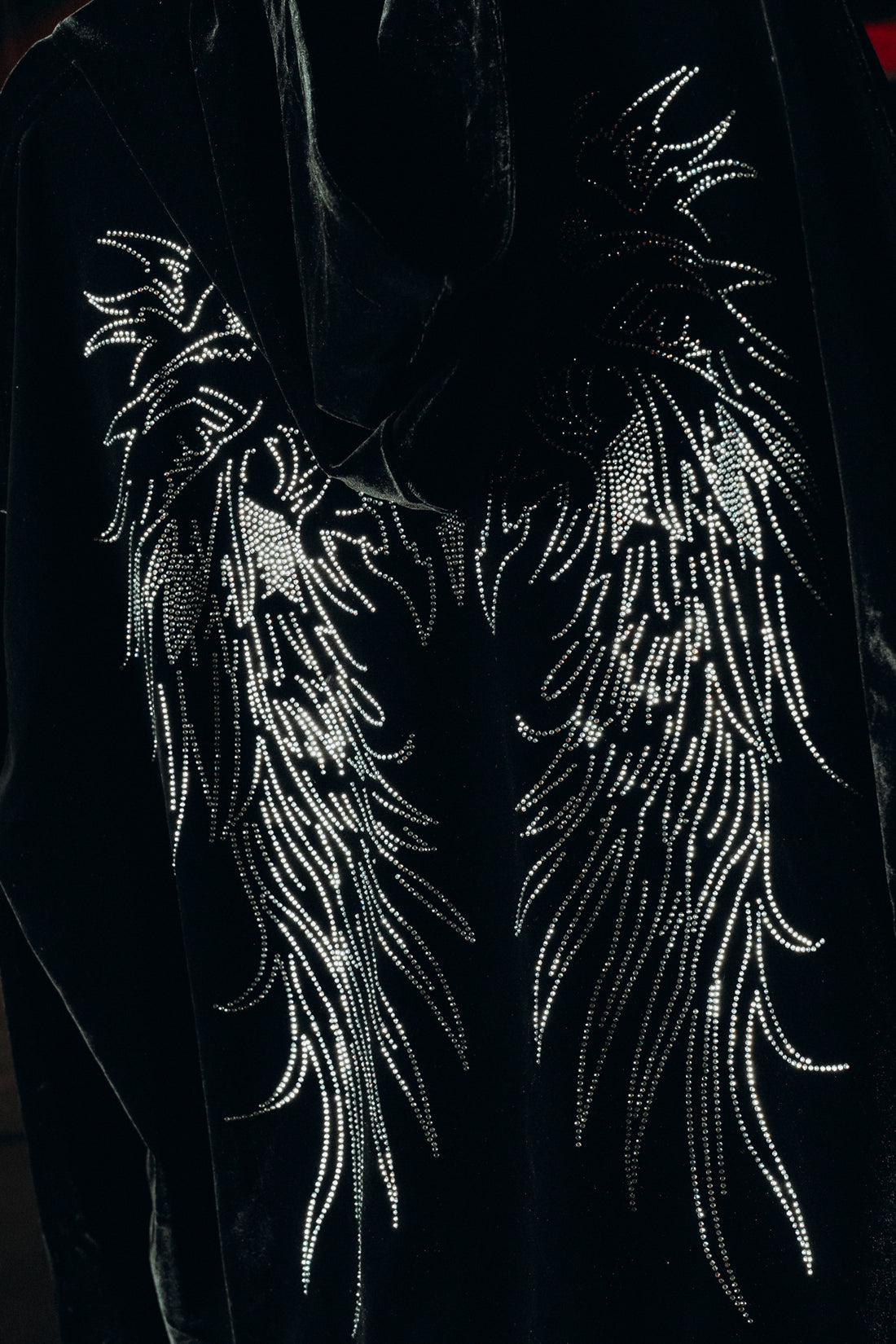 Velvet Wings Hoodie